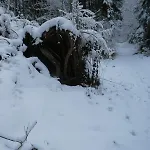 Bergliesal Frühstückspension Wildalpen