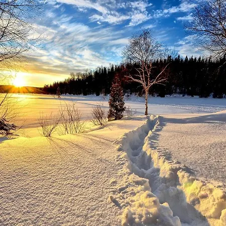 Bergliesal * Wildalpen