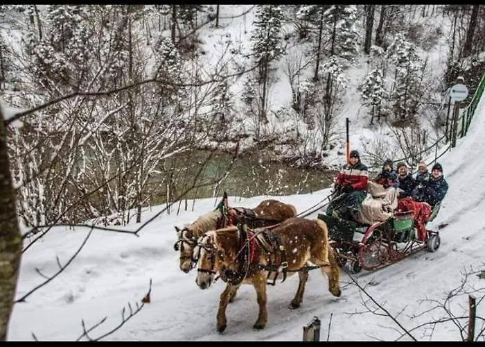فندق مبيت وإفطار Bergliesal فيلدالبين