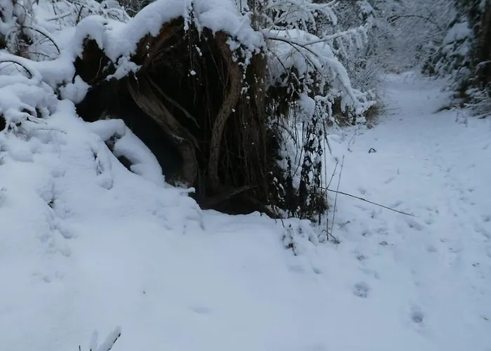 Bergliesal فندق مبيت وإفطار فيلدالبين